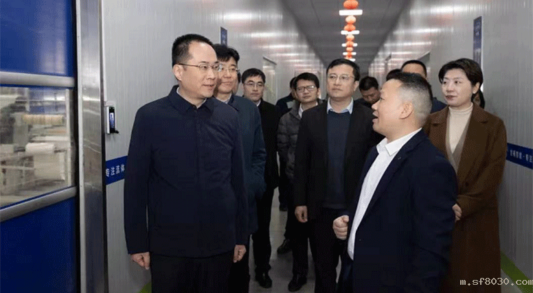 市委市政府主要领导到世界杯现场直播平台新能源调研复工复产