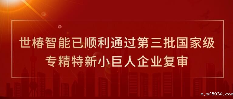 世界杯现场直播平台智能已顺利通过第三批国家级专精特新小巨人企业复审